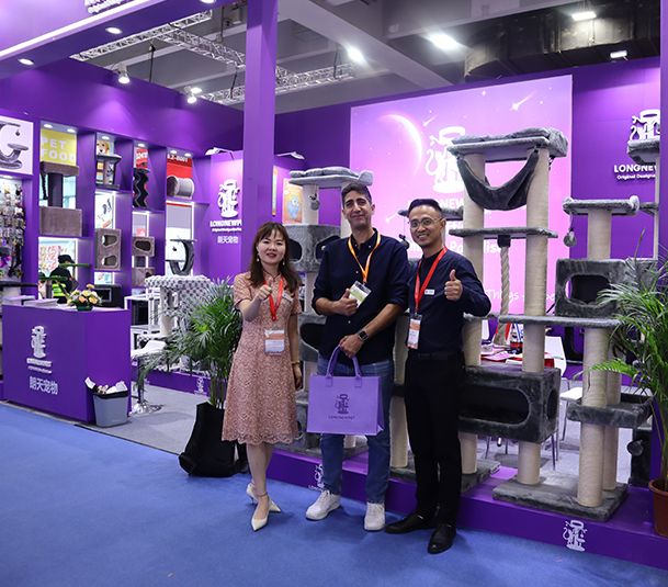 Punti salienti del programma CIPS