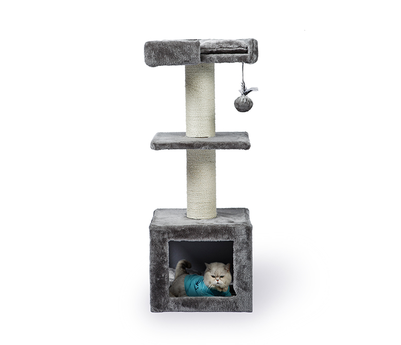 Alberi per gatti di piccole dimensioni